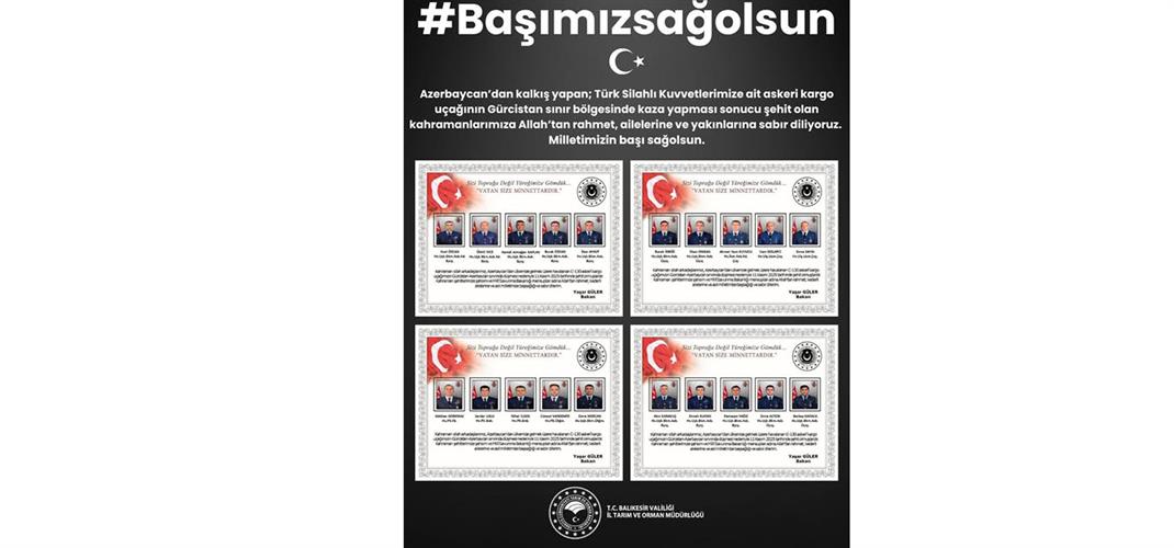 Başımız Sağolsun...