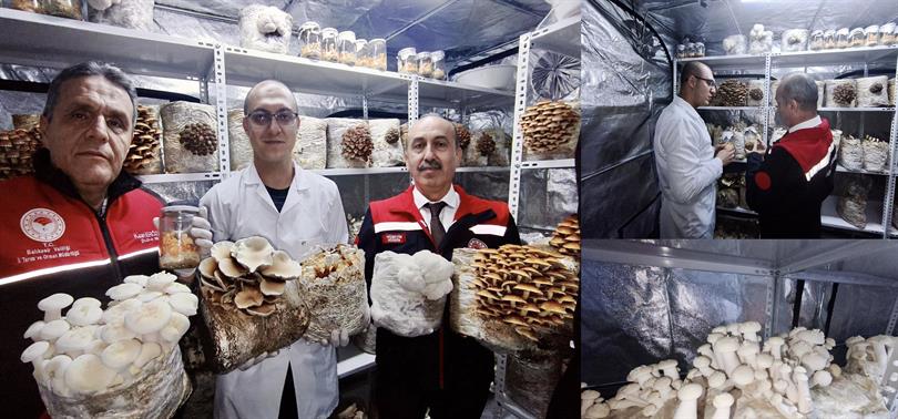 Balıkesir’de Tarım ve Sağlığı Buluşturan Yerli Üretim