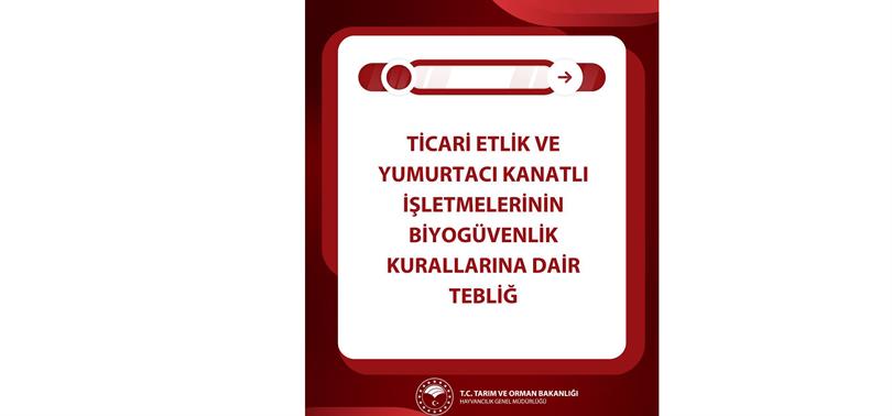 Kanatlı Sektöründe Yeni Dönem