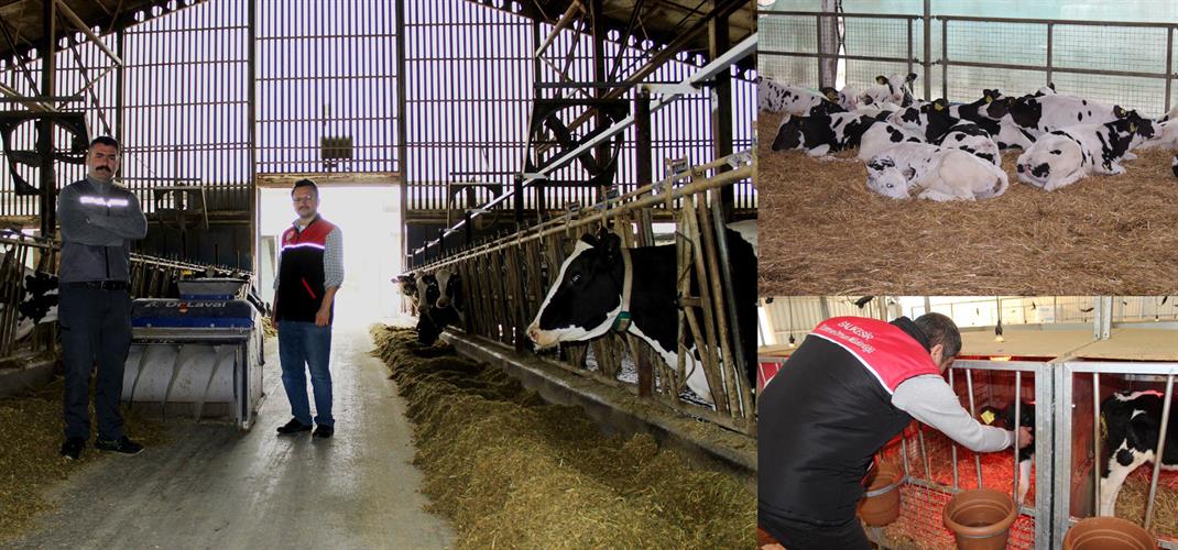 KKYDP Desteği ile Güçlenen Üretim