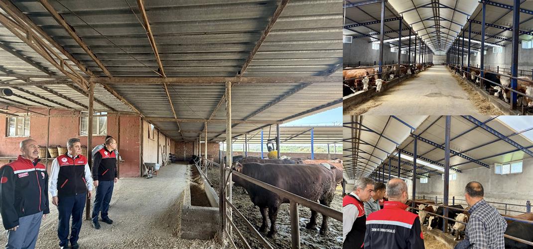 Balıkesir’de Hayvancılıkta Üretim ve Hijyen Standartları Yerinde Takip Ediliyor