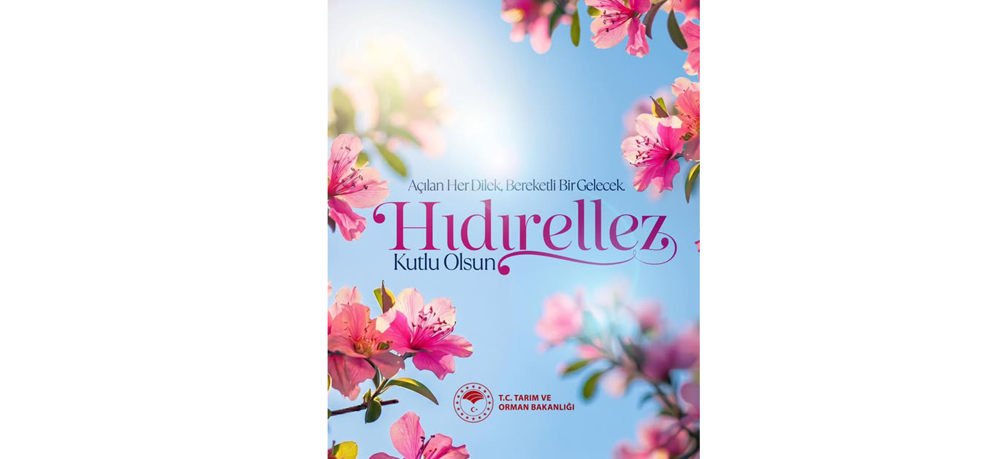 Hıdırellez kutlu olsun