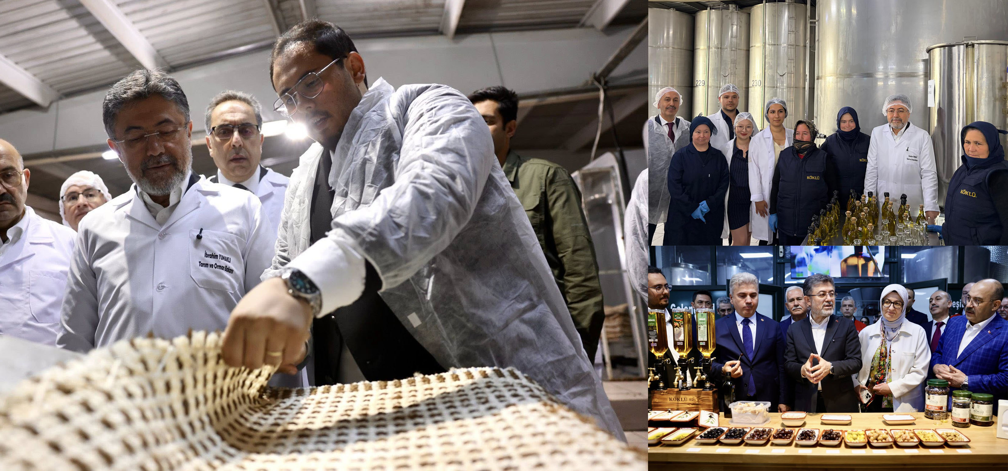 Bakanımız Sayın İbrahim Yumaklı Köklü Zeytincilik işletme tesisini ziyaret ederek işletme yetkililerinden bilgi aldı