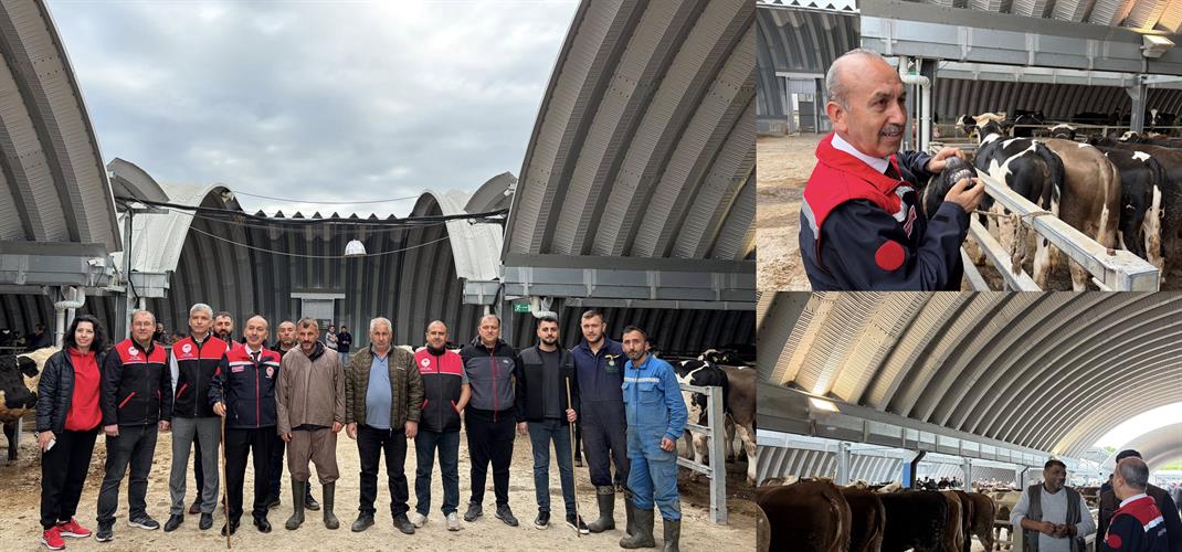Güvenli Kurbanlık, Sağlıklı Bayram: Balıkesir genelinde denetimlerimiz devam ediyor